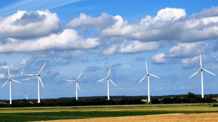 Flagermus har bremset kæmpe vindmølleprojekt: Nu vil kommuner have ministeren på banen