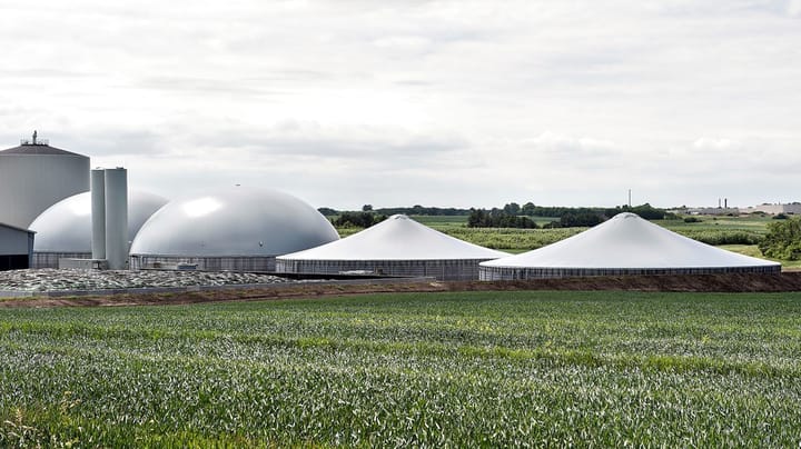 Biogas Danmark: Øget biogasproduktion giver bedre vandmiljø