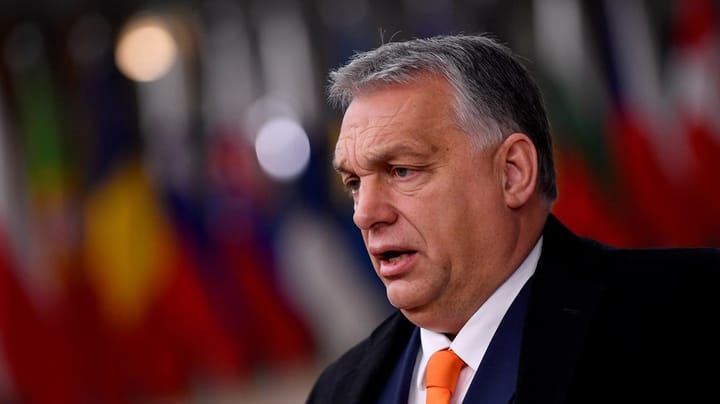 Lektor: Orbáns Ungarn er langt fra en perfekt retsstat. Men det er heller ikke et diktatur