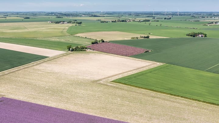 Landbrug & Fødevarer: Udtagning af jord for EU-midler vil give skæve konkurrencevilkår