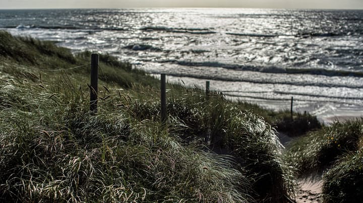 Danmarks smukke naturskat er ved at blive tilintetgjort
