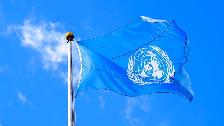 Tidligere FN-ansat: I Sikkerhedsrådet bør Danmark arbejde mod vetoretten, når menneskeliv er på spil
