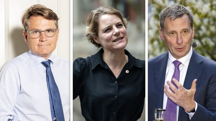 Hækkerups exit genantænder debat om interessekonflikt: Her er de toppolitikere, der tog svingdøren før ham