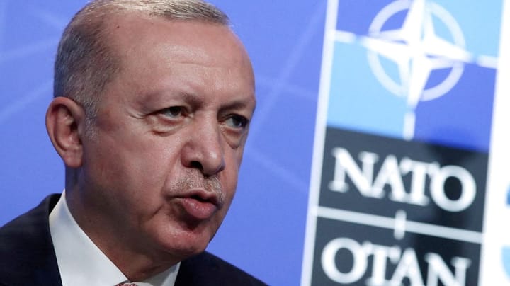 Professor: Erdogan har med sin veto-trussel meget at lære fra Danmarks politiske sejr i 1955