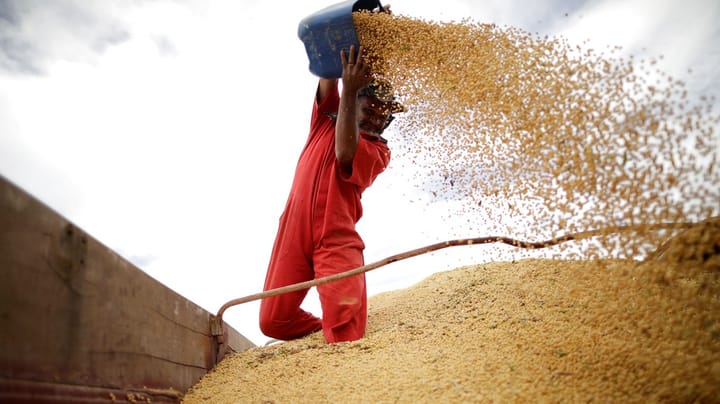 Landbrug & Fødevarer svarer aktivister igen: Vi handler på ansvarlig soja