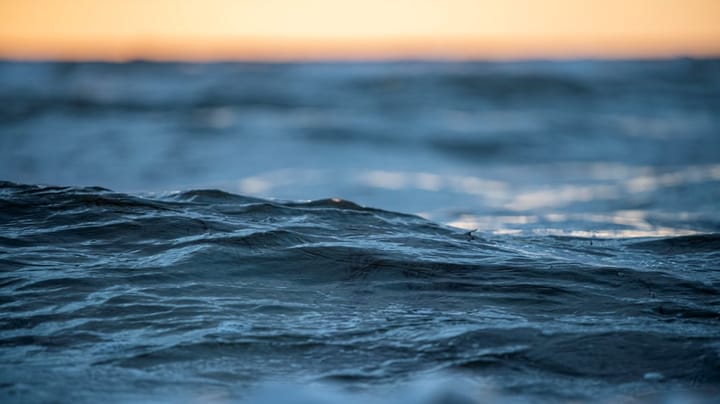 Tænketanken Hav: Havets økosystemer skal beskyttes med en havplan 