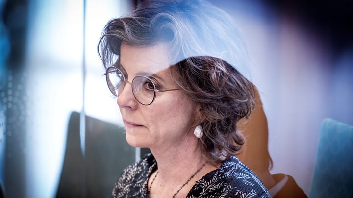 Karen Ellemann: Min kritik af Nordisk Råd skaffede mig jobbet