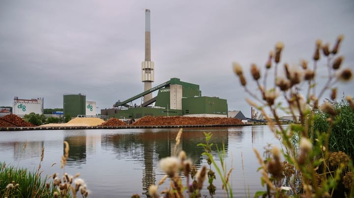 Fjernvarmeselskaber: EU-forslag om opdeling af bæredygtig biomasse vil få store konsekvenser