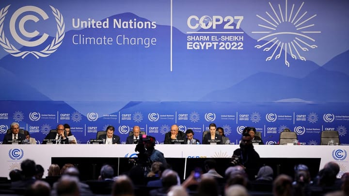 Forsker: Biodiversitetens topmøde fortjener samme opmærksomhed som COP27 