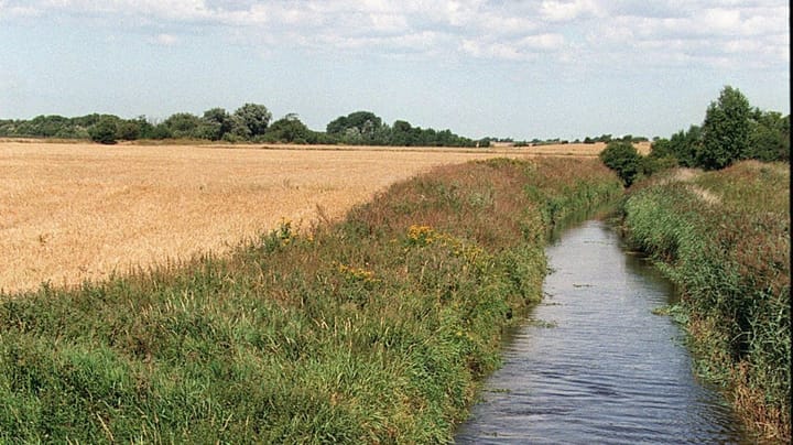 Direktør i Bæredygtigt Landbrug: "Rent vand og moderne landbrugsproduktion er hinandens forudsætninger"