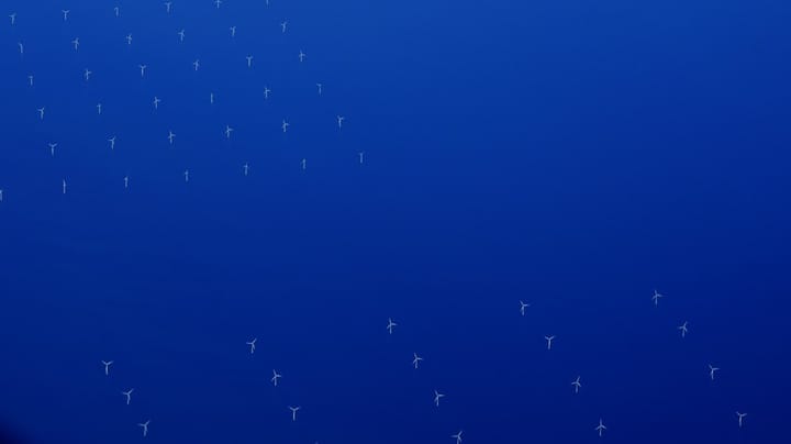Kæmpeudrulning af vindmøller vækker bekymring for dyr og planteliv til havs