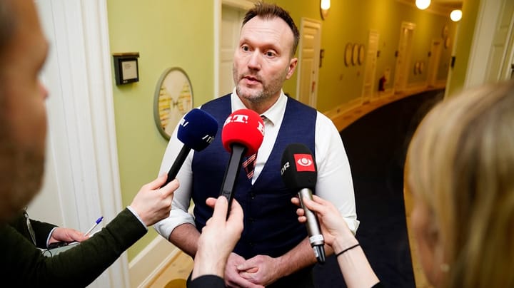 Nye Borgerliges eneste formandskandidat vil "stå på danskernes side overfor magteliten på Christiansborg"