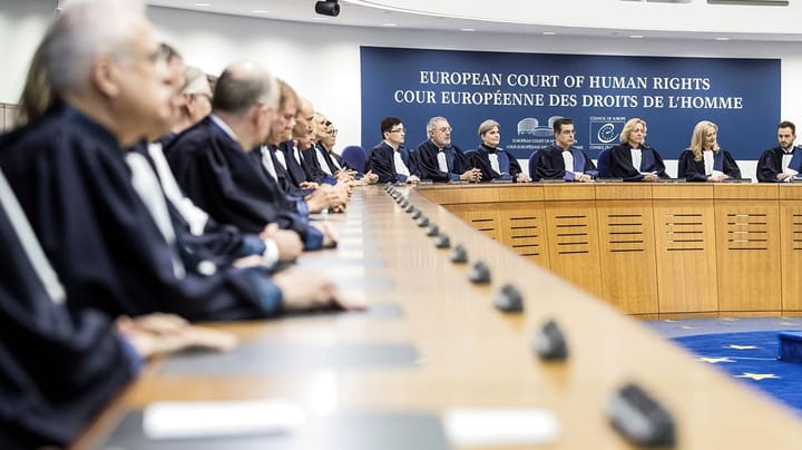 Ny dansk dommer valgt til Den Europæiske Menneskerettighedsdomstol