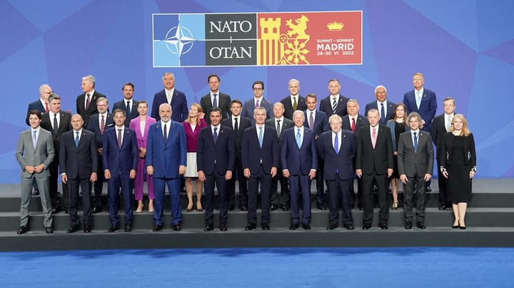 Militæranalytiker: Erdogans afpresning bør få Nato til at gentænke betingelserne for medlemskab