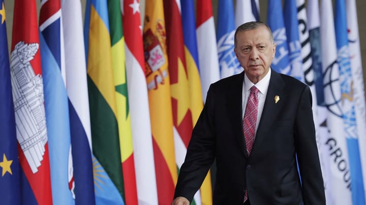 "Enhver anden tyrkisk præsident vil være bedre for Danmark og Europa"