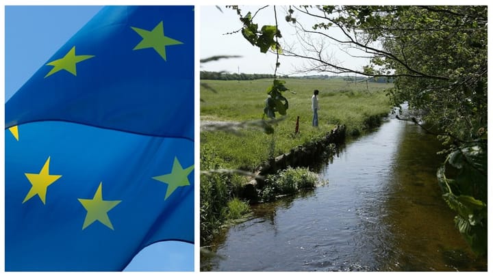 Ny temadebat: Er Danmark på rette natur-kurs i EU?