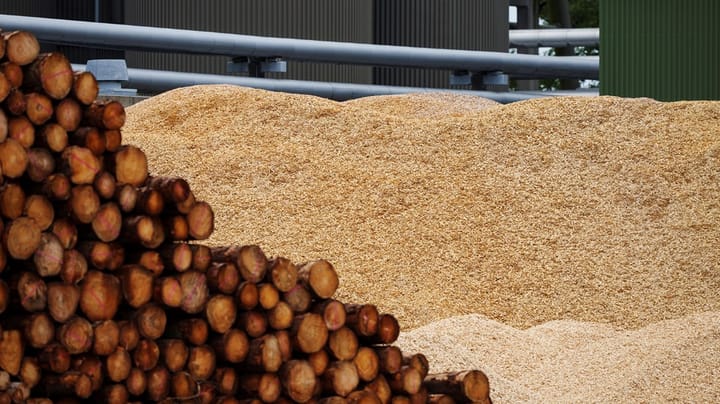Enviva-direktør: Lad os værne om vores krav til biomasse – uden protester