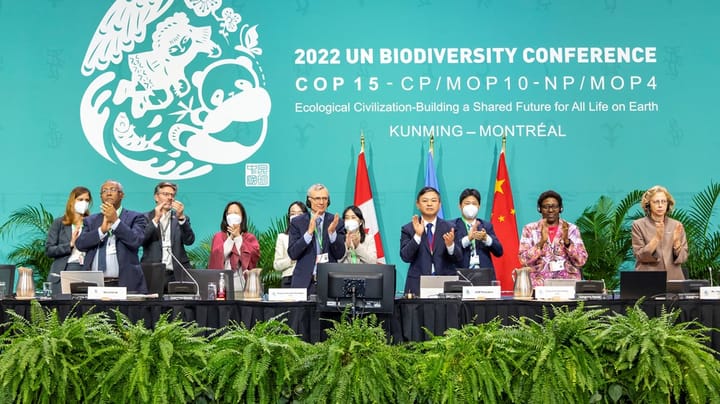42 organisationer til regeringen: Borgerinddragelse skal hjælpe med at nå biodiversitetsmål