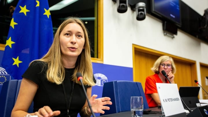 Tidligere rådgiver i EU: I Bruxelles kan ingen høre dig skrige – for moderpartiet har revet mikrofonen fra dig