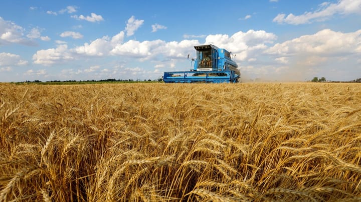 Striden om Ukraines korn giver os vigtige fingerpeg om EU’s fremtid