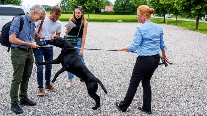 Folketingets formand sætter ind over for løse hunde på Christiansborg