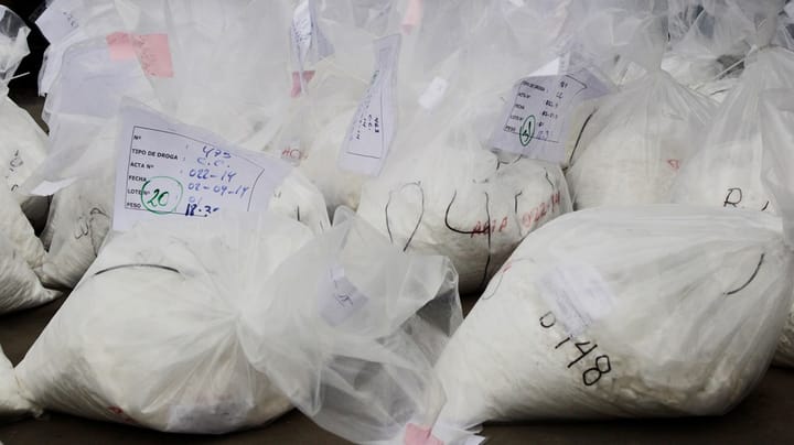 Danske havne flyder med kokain – løsningen skal findes i det europæiske fællesskab