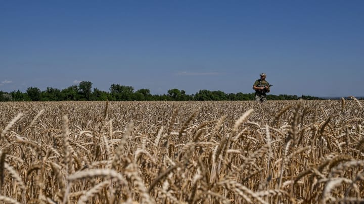 Mange frygter at få Ukraine ind i EU’s landbrugspolitik. Det behøver de ikke, mener dansk EU-veteran