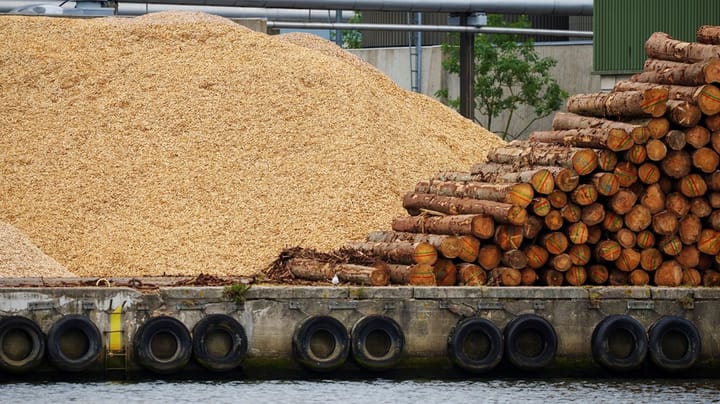Danmarks Naturfredningsforening: For et grønnere København må vi stoppe brugen af biomasse