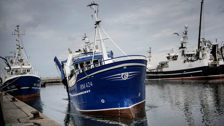 Thisted Kommune hyrer ny teknikdirektør med havneerfaring