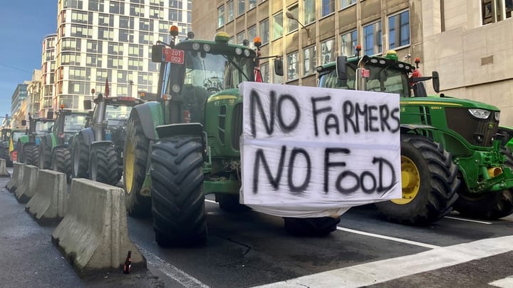 Rasende landmænd rammer topmøde i Bruxelles: "Den grønne plan fra EU slår os ihjel"