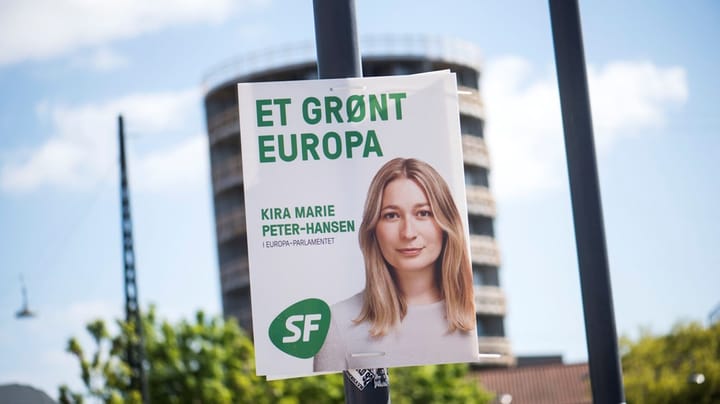 Måling: Klima og miljø er vigtigst for danskerne op til EU-valget