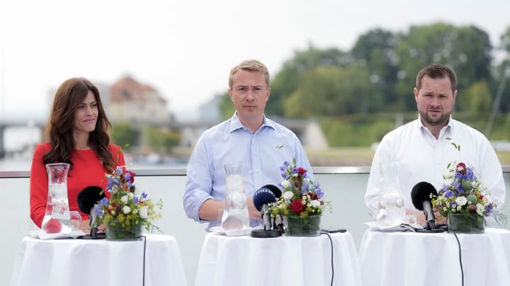 Én DF’er har brugt flere penge på Facebook-reklamer end nogen anden i dansk politik: "Vi har satset hele butikken"