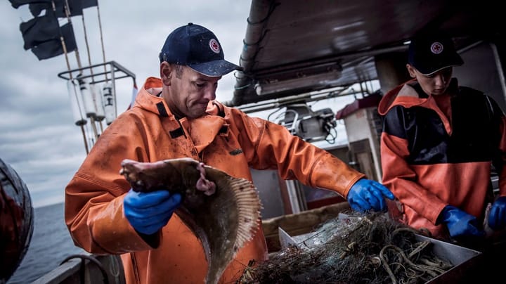 Alexander Holm til Danmarks Fiskeriforening: Regler og love bliver ikke altid overholdt