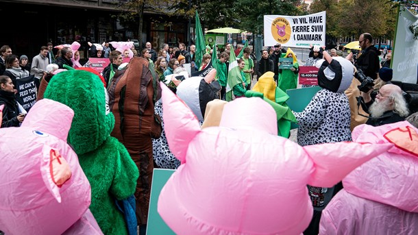 Greenpeace, Noah og Den Grønne Studenterbevægelse holdt kødstrejke foran landbrugets hovedsæde Axelborg på Axeltorv i København iført blandt andet grisekostumer.